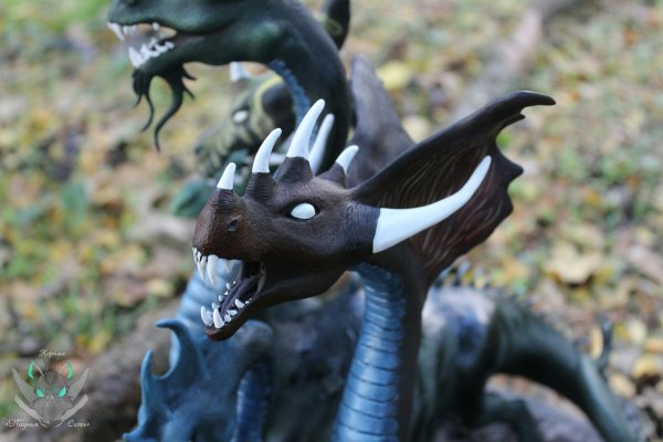 Kraken ссылка tor