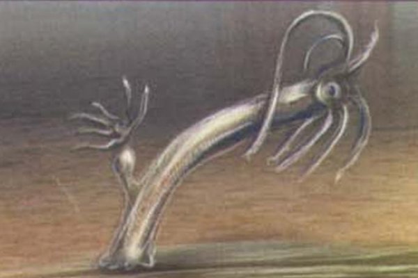 Kraken магазин ссылка